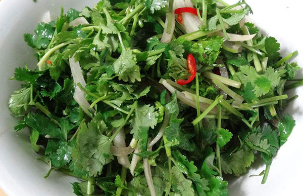 孕妇可以吃香菜吗 孕妇吃香菜有好处吗